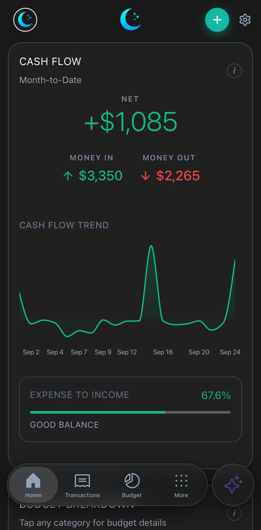 Luna Money iPhone app: Cash Flow